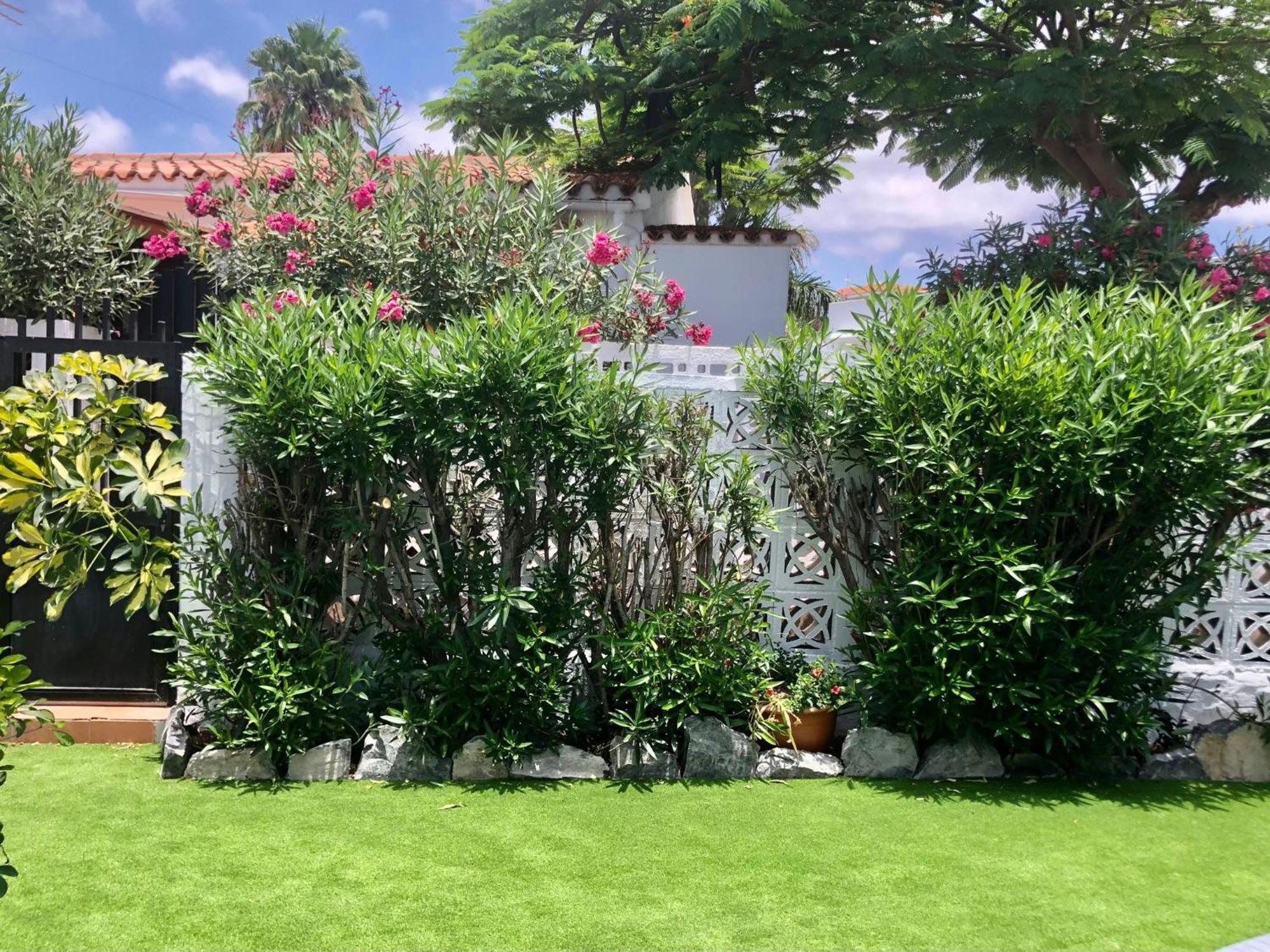 Santa Clara Bungalows Maspalomas  Exterior photo